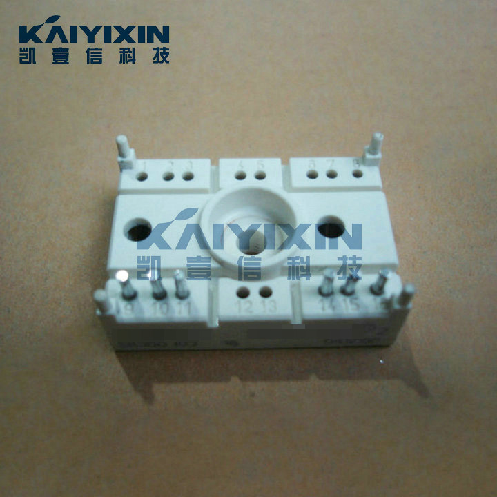 SK100KQ16-SEMIKRON-n8X
