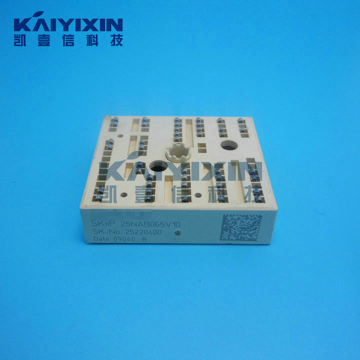 SKiiP25NAB065V10-SEMIKRON-cVg