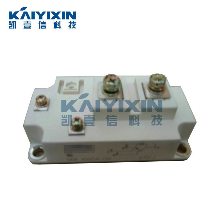 SKM400GA123D-SEMIKRON-LuH