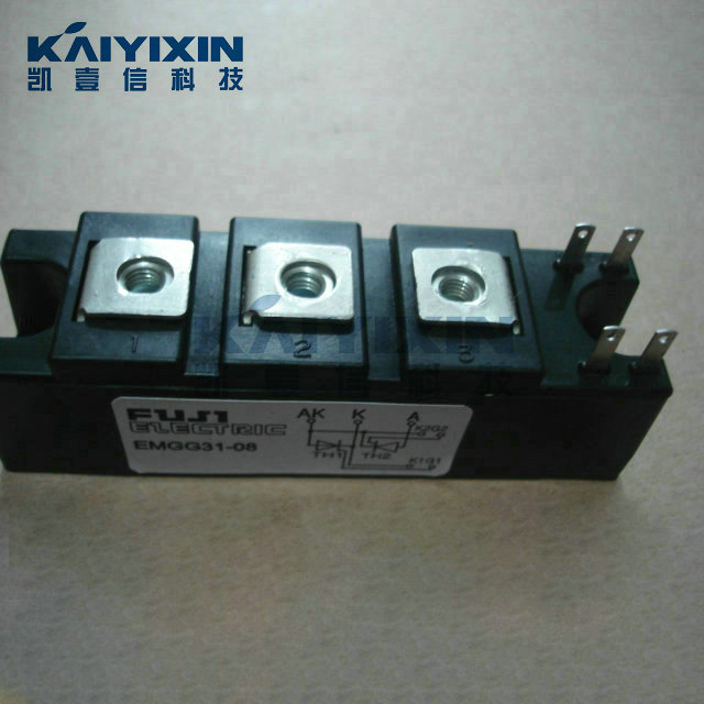 EMGG31-08-FUJI-362
