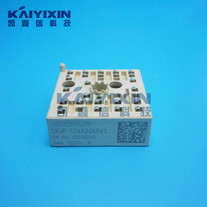 SKiiP12NAB065V1-SEMIKRON-vol