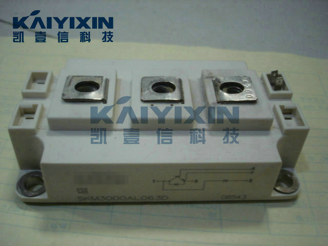 SKM300GAL063D-SEMIKRON-TuW