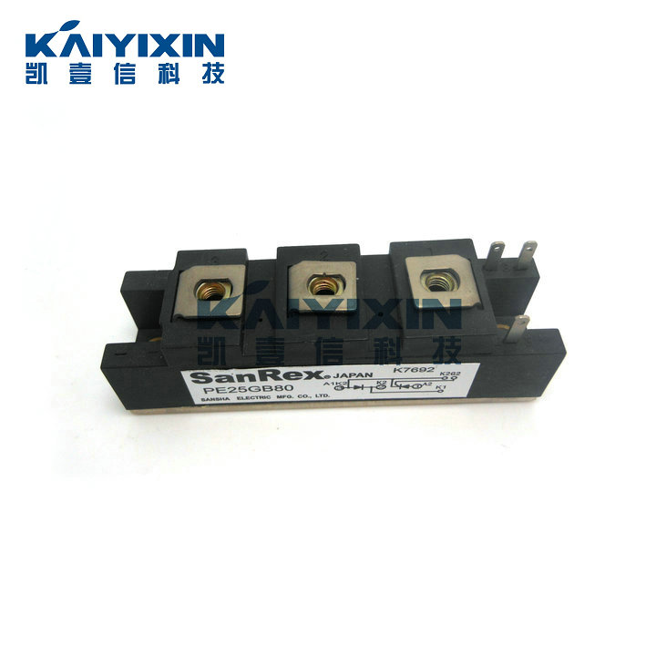 PE25GB80-SanRex-22d