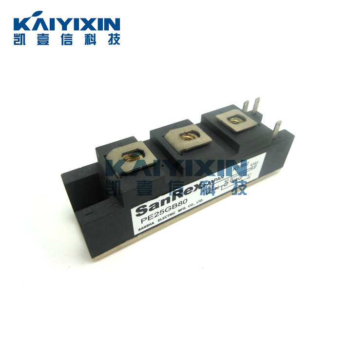 PE25GB80-SanRex-F50