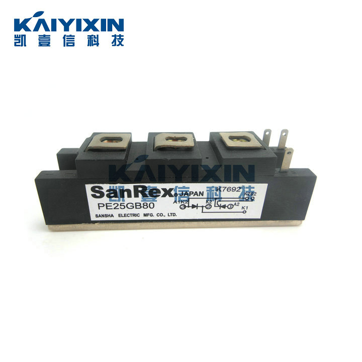 PE25GB80-SanRex-UGl