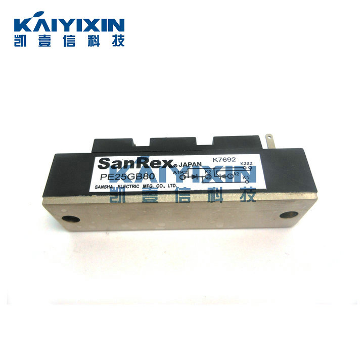 PE25GB80-SanRex-v7c