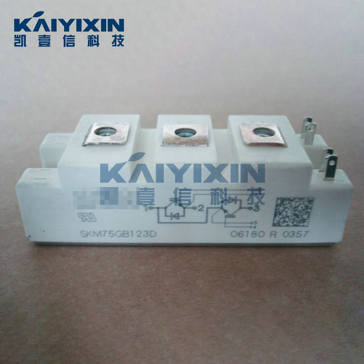 SKM75GB123D-SEMIKRON-hXu
