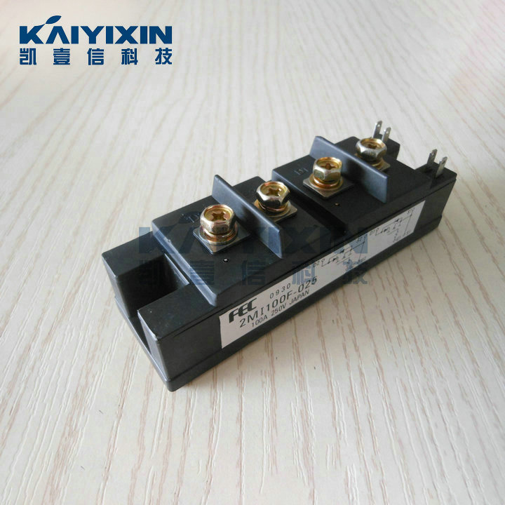 2MI100F-025-FUJI-hJV