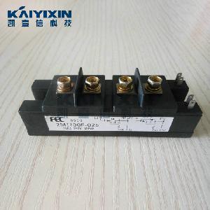 2MI100F-025-FUJI-ckj