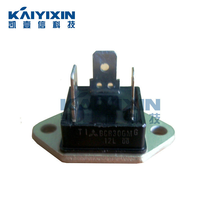 BCR30GM12L-Mitsubishi-44t