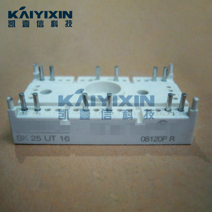 SK25UT16-SEMIKRON-gpK