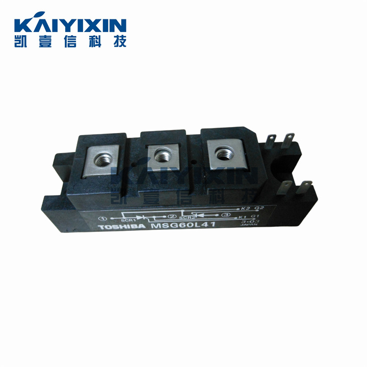 MSG60L41-TOSHIBA-TsP