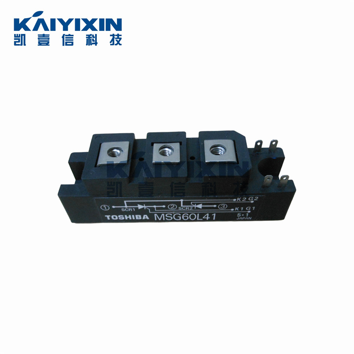 MSG60L41-TOSHIBA-aTO