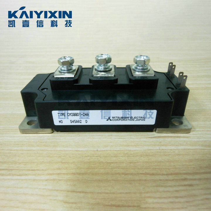 CM300DY-24A-Mitsubishi-RYI