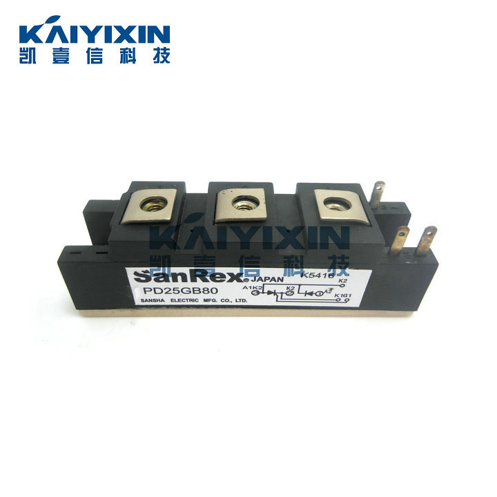 PD25GB80-SanRex-eCj