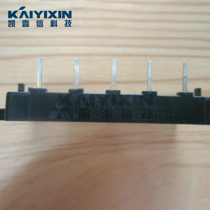 RM25TN-2H-Mitsubishi-Lde