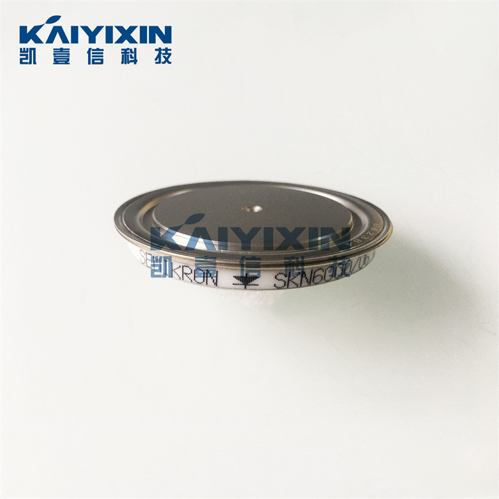 SKN6000-06-SEMIKRON-QtD