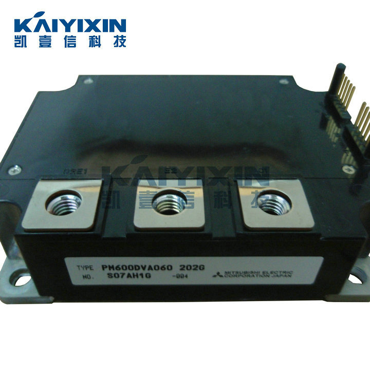 PM600DVA060-Mitsubishi-T2n
