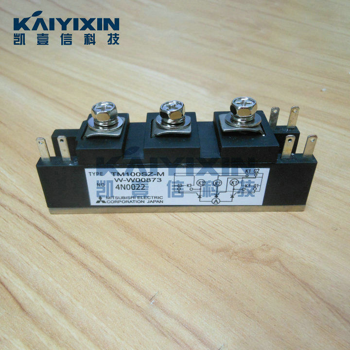 TM100SZ-M-Mitsubishi-KW8