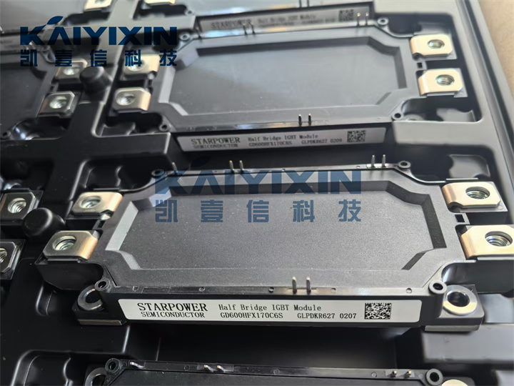 GD600HFX170C6S-STARPOWER-14G