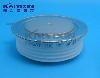 6SY7010-0AA40-1391-WESTCODE-aft