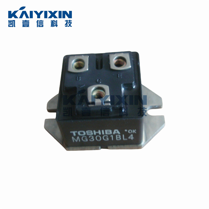 MG30G1BL4-TOSHIBA-Wo2