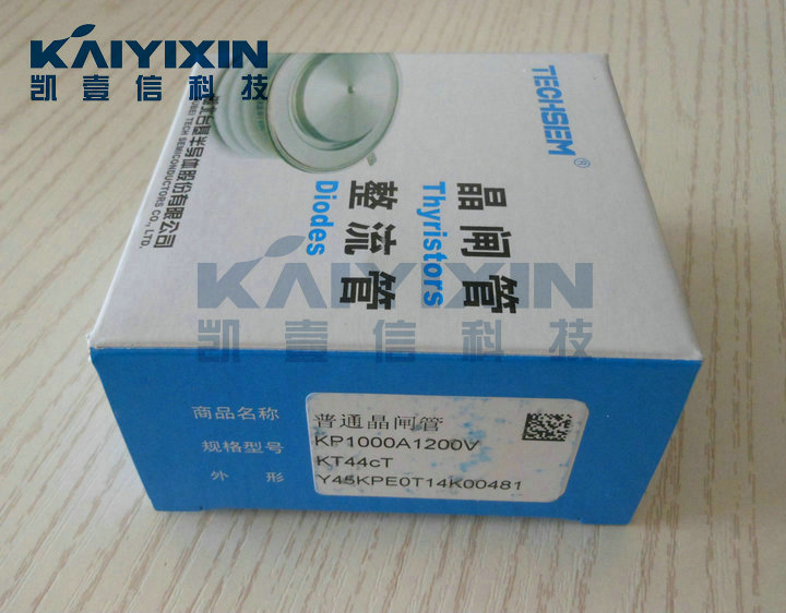 Y45KPE0T14K00481-TECHSEM-Rlm