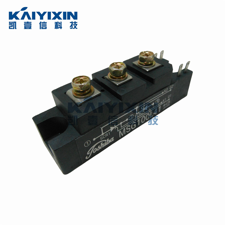 MSG100L41-TOSHIBA-BiZ