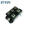 DF100AA160-SanRex-EcF