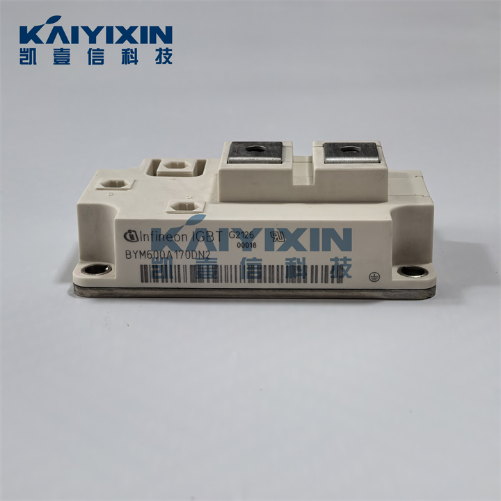 BYM600A170DN2-Infineon-WYP