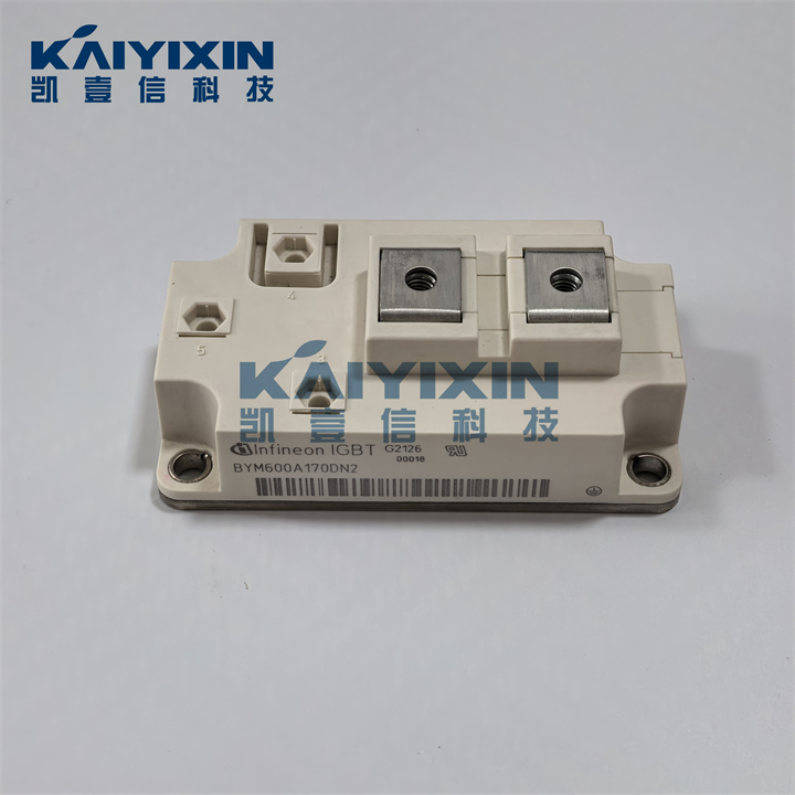 BYM600A170DN2-Infineon-gNq