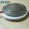 EGR03-25-FUJI-DsI
