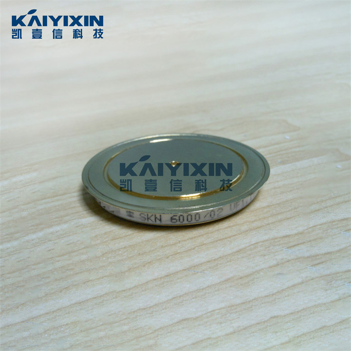 SKN6000-02-SEMIKRON-gYn