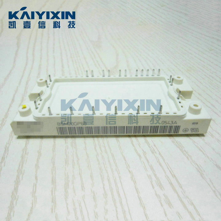 BSM20GP60-Infineon-LZd