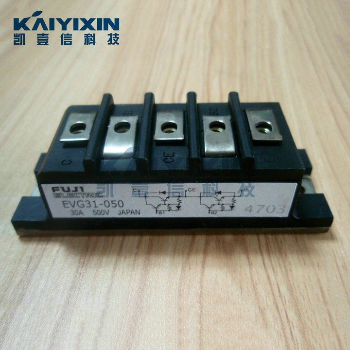 EVG31-050-FUJI-mbh