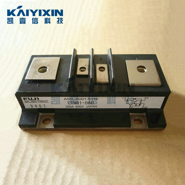 ETN81-060-FUJI-VBM
